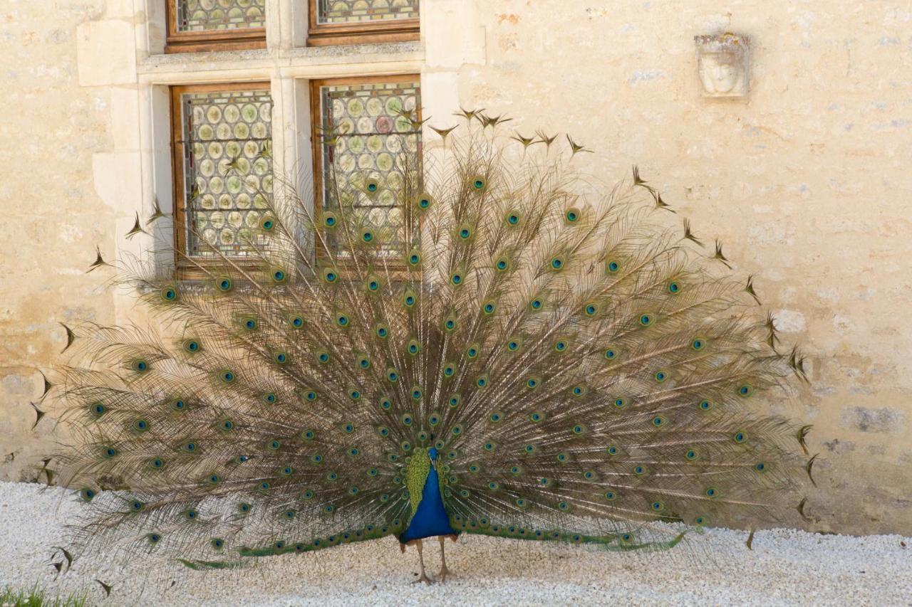 Chateau De Bois Bed & Breakfast *